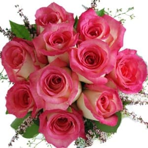 Hand Bunch of 15 Pink Roses